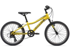 Rower dziecięcy Giant XTC Jr 20 Lite 2020